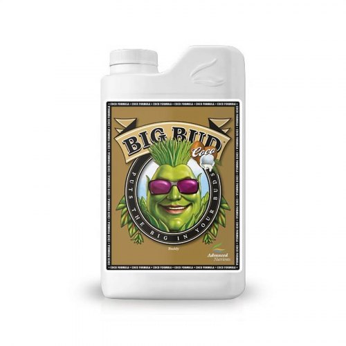Big Bud Coco