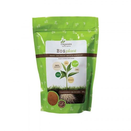 Big Plant 500g