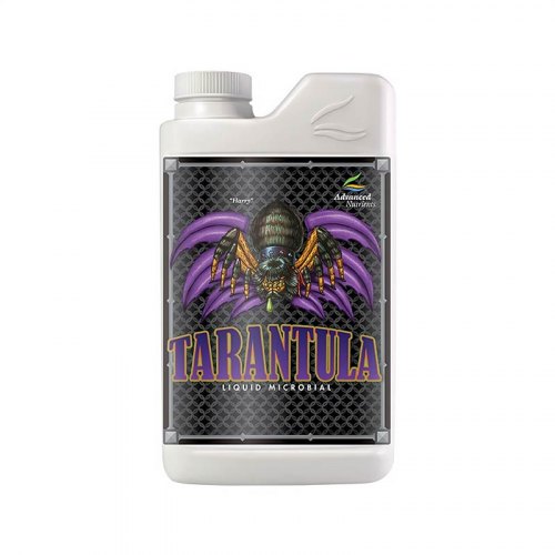 Tarantula