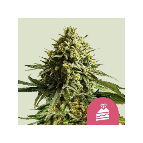 wedding cake(1)