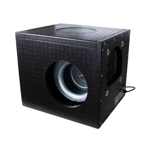 dm foam box 1200