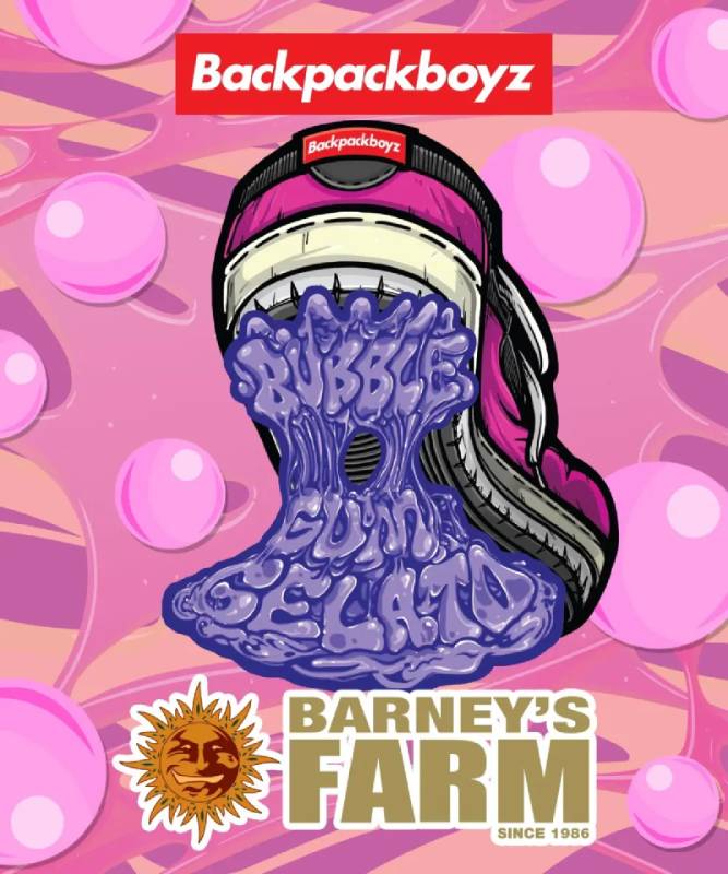 bubblegum gelato barneys farm