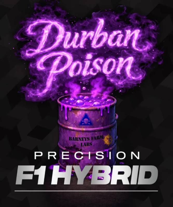 durban-poison barneys farm