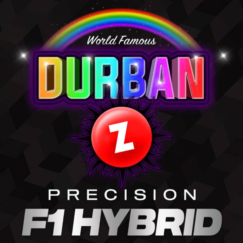 durban-z barneys farm